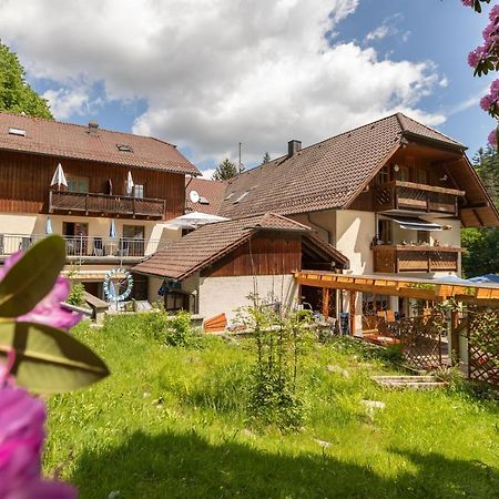 Zur Triftsperre Hotel Пасау Екстериор снимка