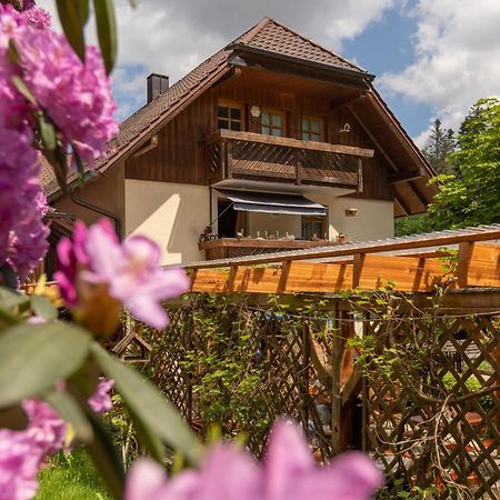 Zur Triftsperre Hotel Пасау Екстериор снимка