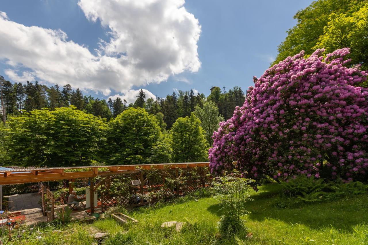 Zur Triftsperre Hotel Пасау Екстериор снимка