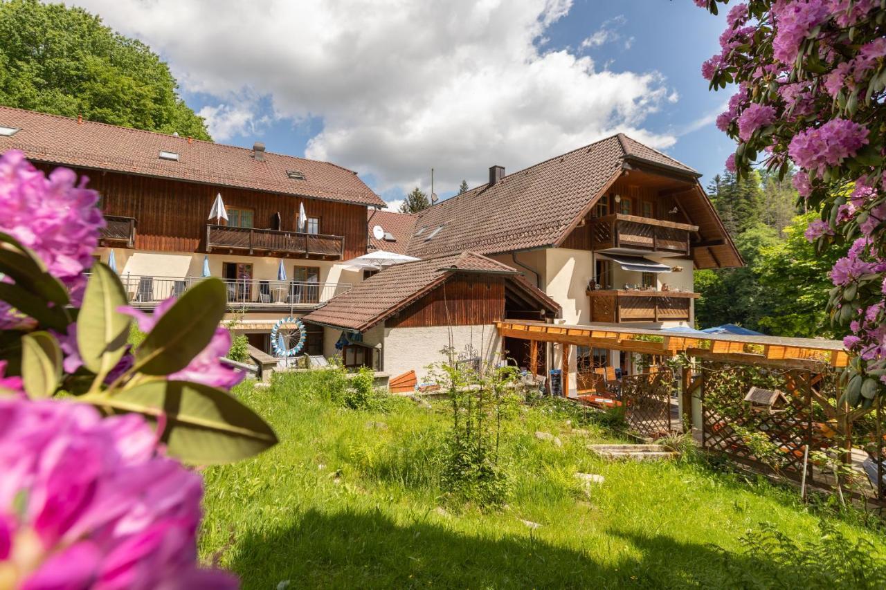 Zur Triftsperre Hotel Пасау Екстериор снимка