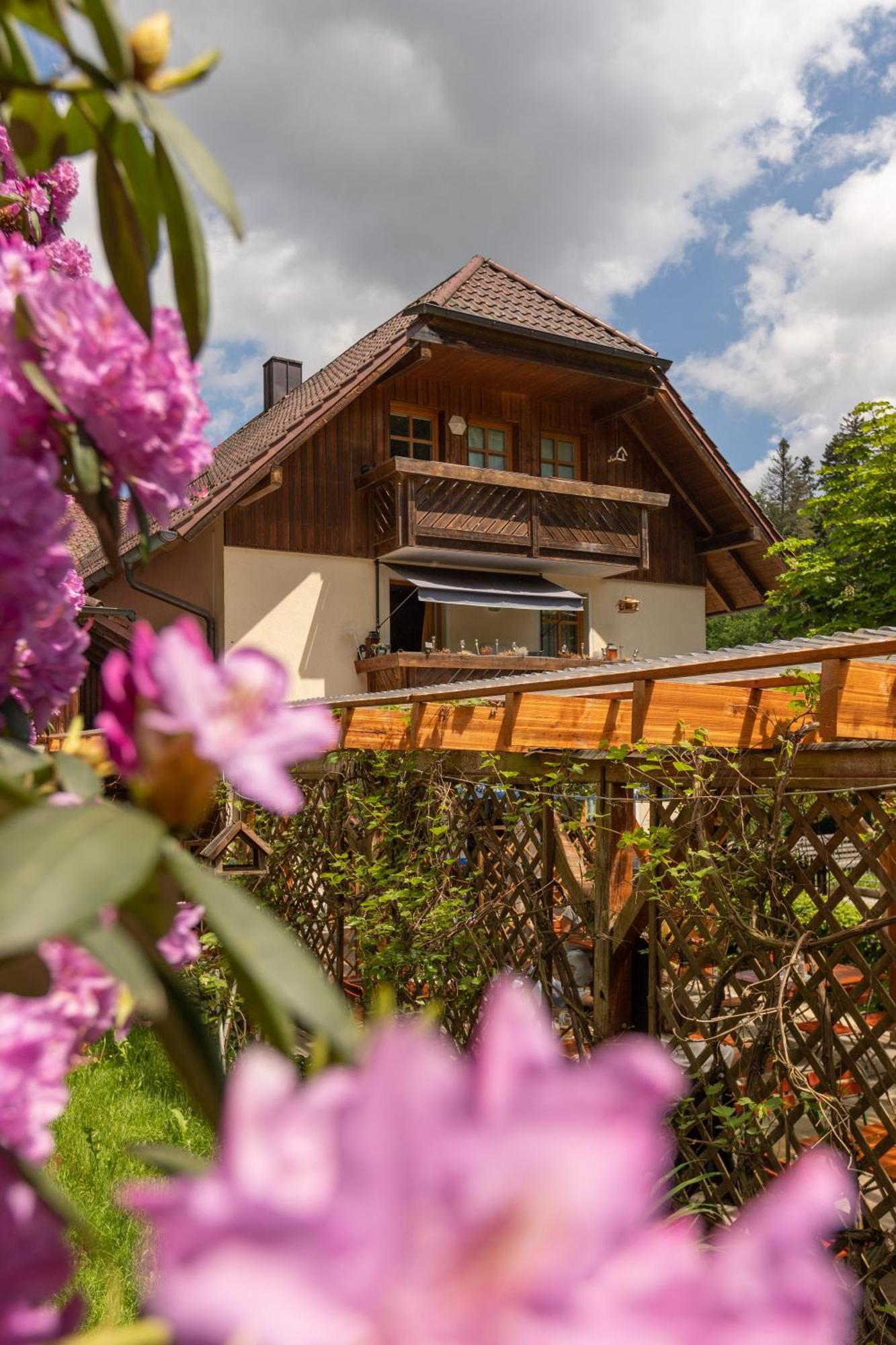Zur Triftsperre Hotel Пасау Екстериор снимка