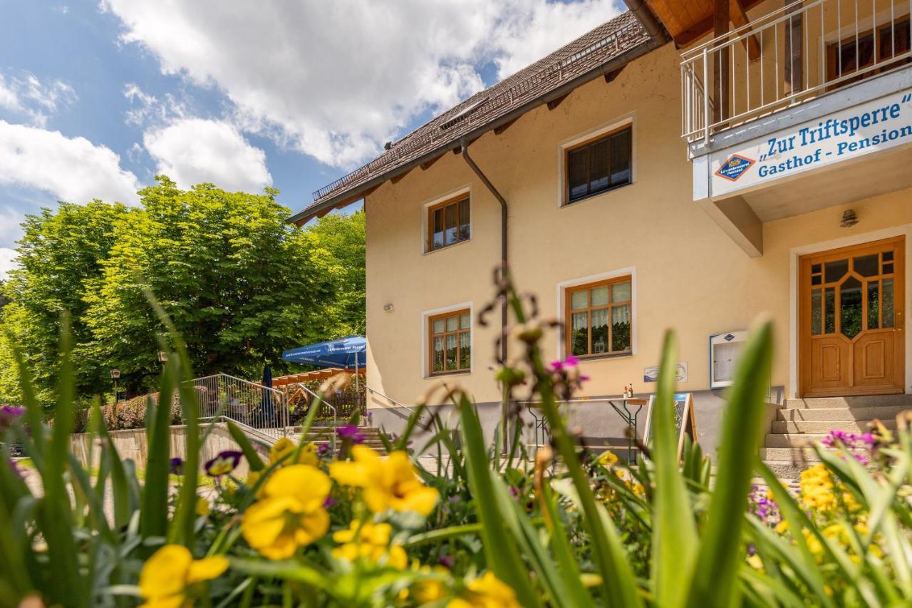 Zur Triftsperre Hotel Пасау Екстериор снимка