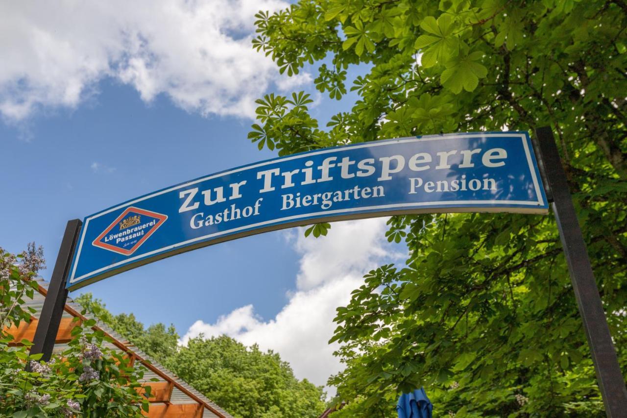 Zur Triftsperre Hotel Пасау Екстериор снимка