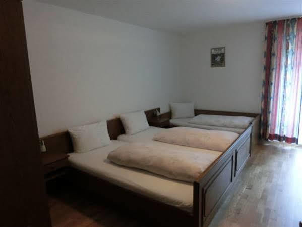 Zur Triftsperre Hotel Пасау Екстериор снимка